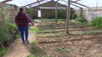 En la Puna, algunas comunidades construyen invernaderos para el cultivo de hortalizas y verduras con equipamientos de riego por goteo