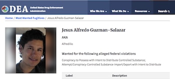 "Alfredillo" ya no aparece en