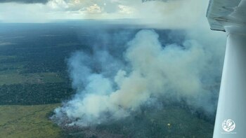 La mayoría de territorio deforestado se encuentra en la Amazonía colombia. Foto: Rodrigo Botero - Fundación para la Conservación y el Desarrollo Sostenible (FCDS)