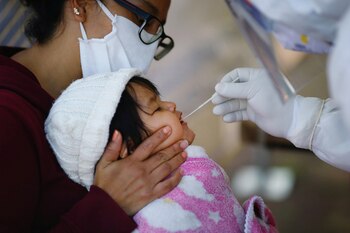 La SSa informó que suman