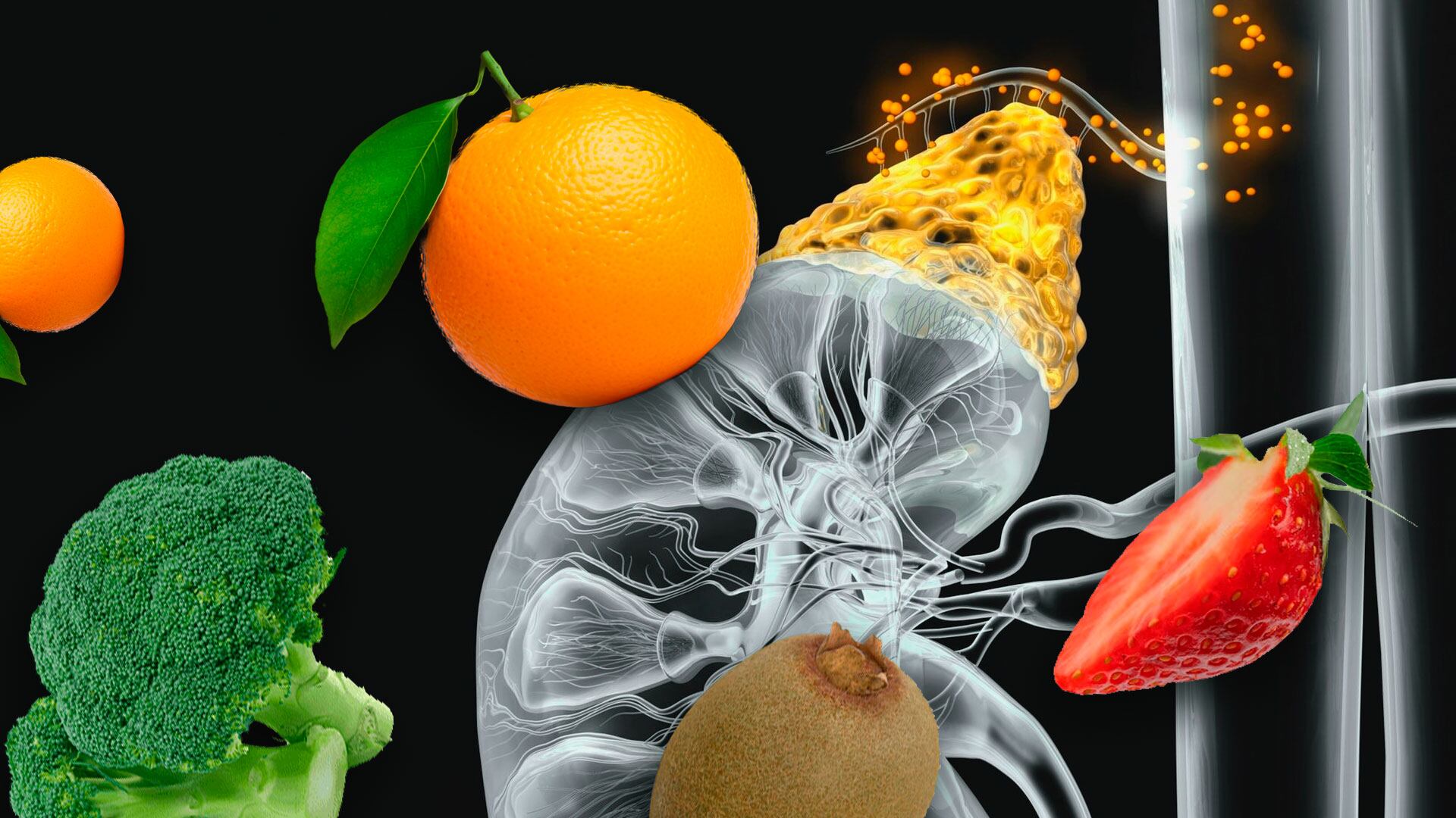 El cortisol, conocido como la hormona del estrés, resulta esencial para la supervivencia en situaciones agudas (Jovani Pérez)