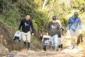 Ambos animales silvestres tuvieron una