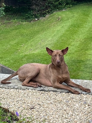 Durante las giras de Oasis, su imagen aparece en las pantallas del concierto, sorprendiendo a quienes la reconocen.