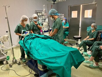 Profesionales del Clínico de Málaga