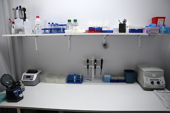 El laboratorio de análisis de ADN ubicado en el departamento de la calle Lavalle. Planean mudarlo al edificio de la Morgue