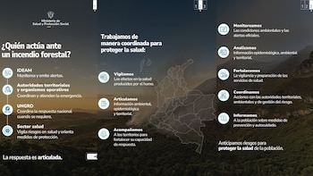 La respuesta ante los incendios forestales requiere coordinación entre autoridades territoriales, organismos operativos, la UNGRD, el IDEAM, entidades ambientales y el sector salud para atender la emergencia y proteger a la población. - crédito @MinSaludCol/X