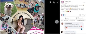 Andrea Peña pidió el apoyo