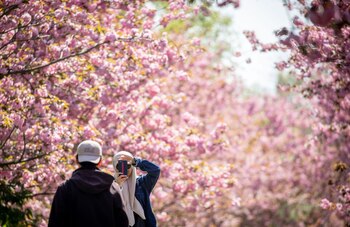 ARCHIVO - Los recuerdos pueden