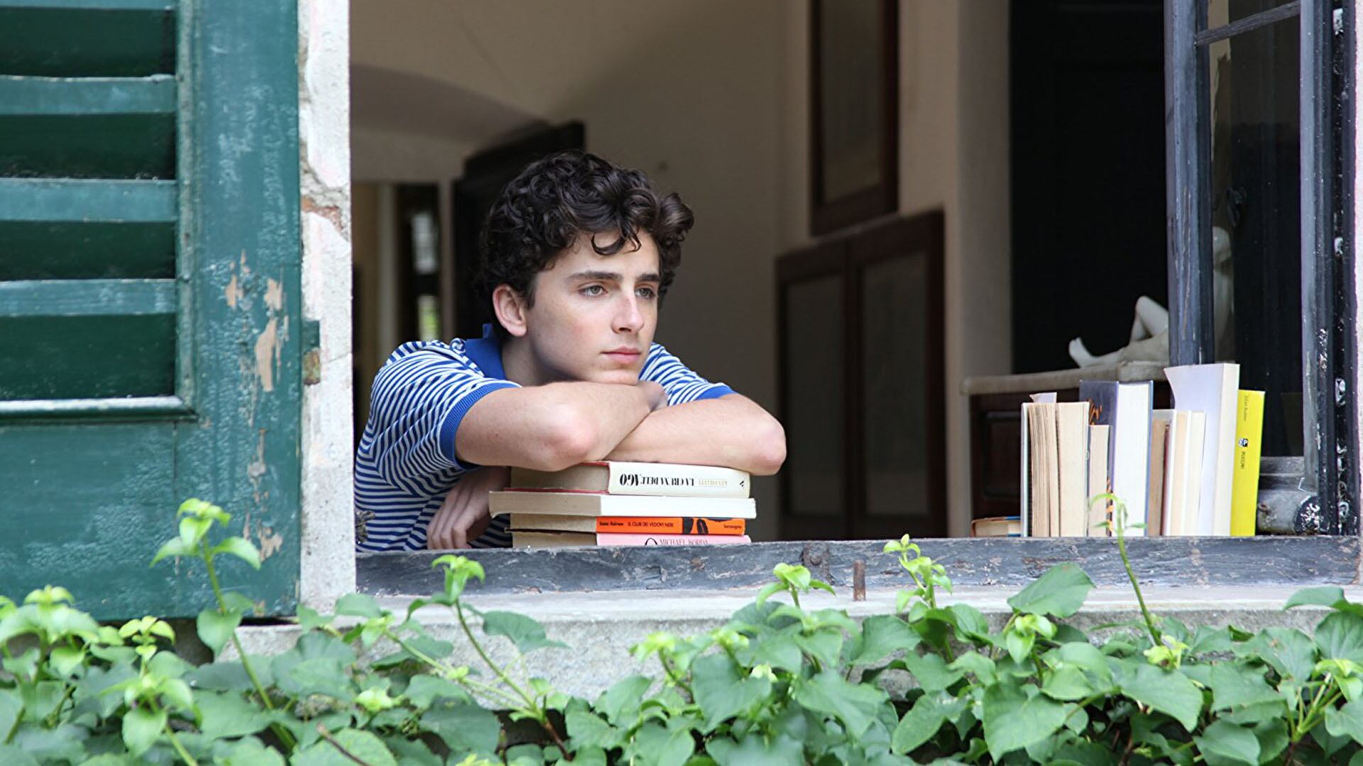 Timothée Chalamet en