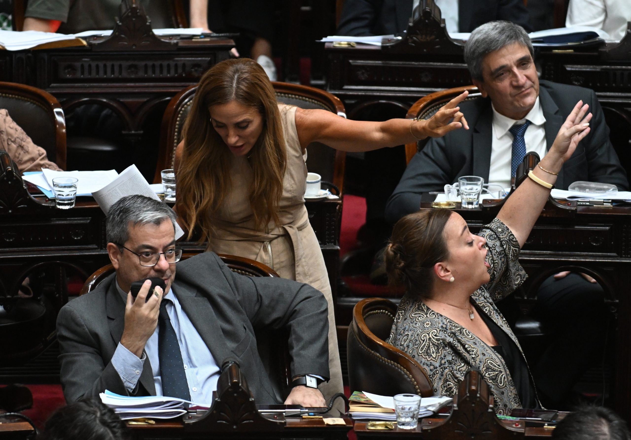 Germán Martínez, el presidente de la Cámara de Diputados