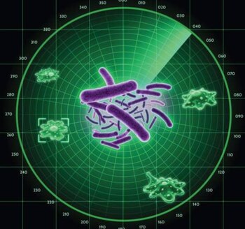 Imagen SZEVJVNVMVBOLNZDYTTG32UH6E