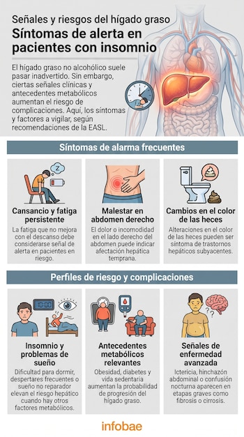 Infografía médica que muestra un torso humano, hígado, corazón, un reloj y seis ilustraciones de síntomas y perfiles de riesgo del hígado graso. Logo Infobae.