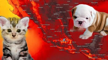 Este es el daño que