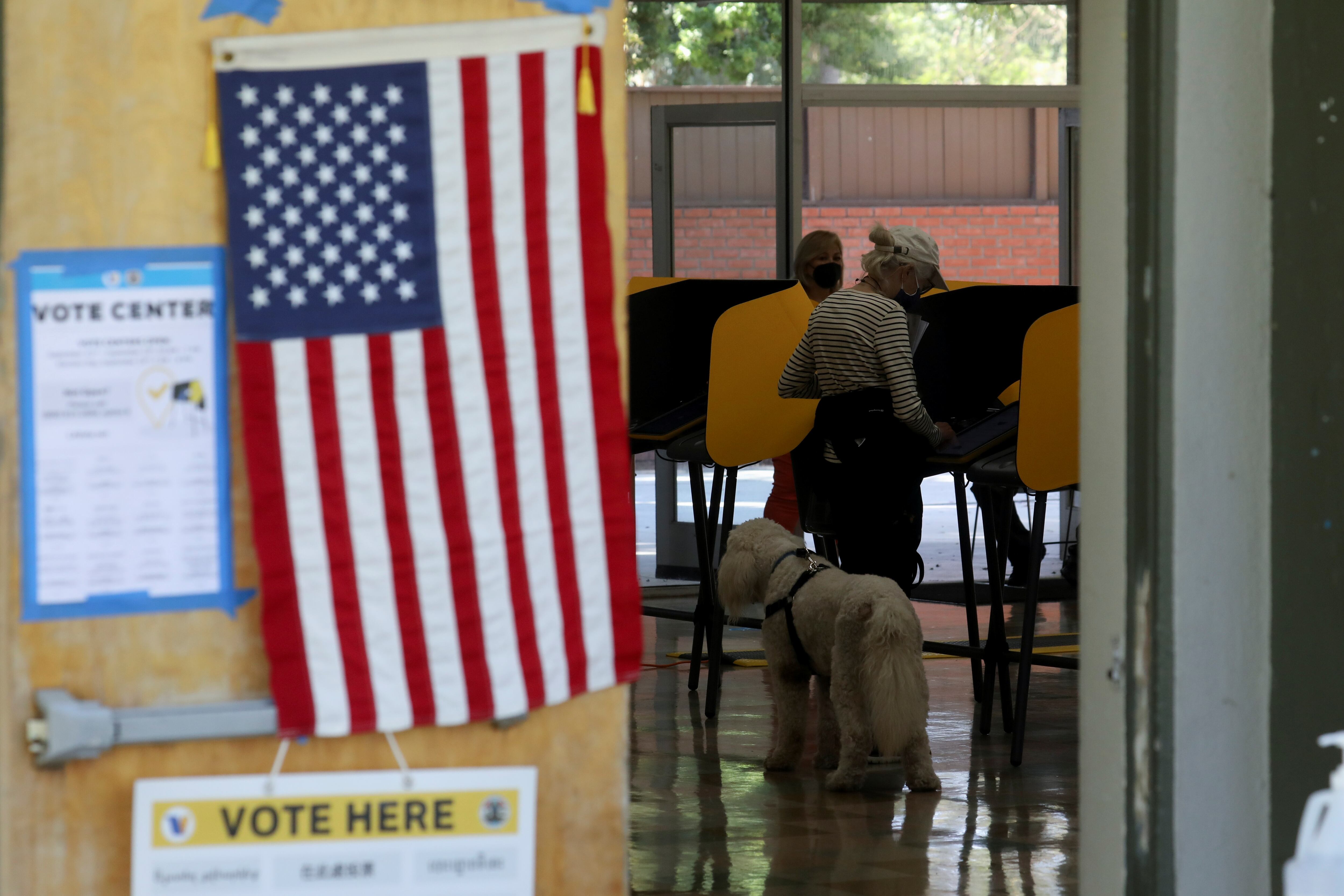 Laura Lee Yourex fue acusada de registrar a su perro como votante y enviar dos votos bajo el nombre del animal en el condado de Orange, California. (REUTERS/David Swanson)