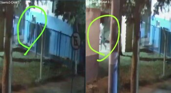 El club logró captar el