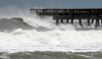 (Foto: EFE/Jim Rassol/Archivo)