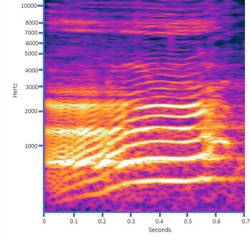 Una de las figuras del