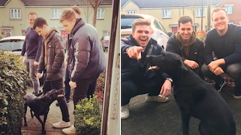 Los dueños de la perrita