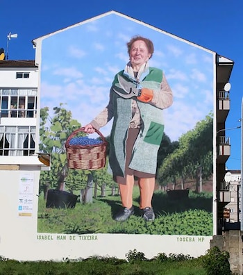 Isabel man de tixeira