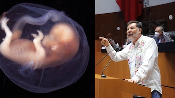 Gerardo Fernández Noroña se manifestó