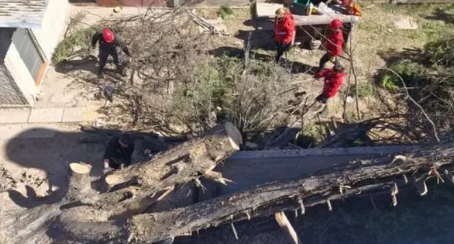 En Córdoba, la Dirección de Defensa Civil recibió 950 llamados al número de emergencias 103, con reportes por columnas caídas, árboles en la vía pública y voladuras de techos (Foto: Municipalidad de Córdoba)