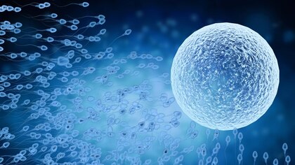 Un nuevo gel anticonceptivo masculino mostró buenos resultados en un ensayo clínico