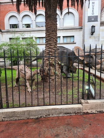 Dos estatuas de dinosaurios, una grande tipo Triceratops y otra pequeña beige, detrás de una valla negra, con un tronco de palmera y un edificio de ladrillo al fondo
