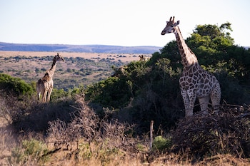 Algunos de los paisajes y
