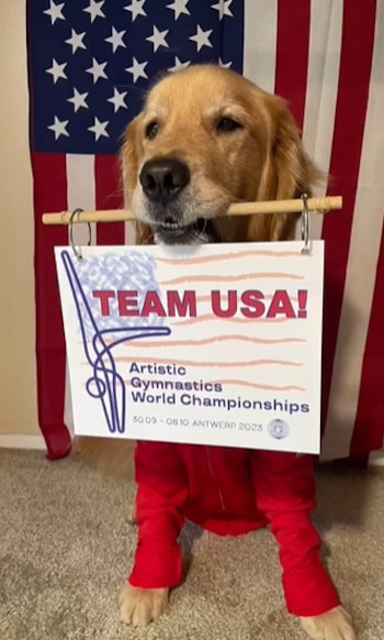 Beacon jugó un papel importante