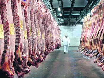 Los envíos a faena muestran