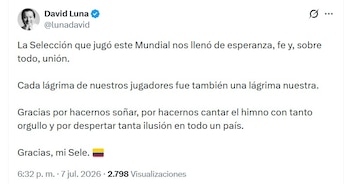 David Luna aseguró que la Selección Colombia logró sembrar esperanza y unir al país durante su participación en el Mundial - crédito @lunadavid/X