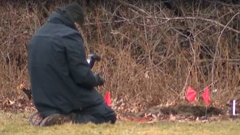 Cleveland: detuvieron a la principal