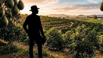 Fue galán en telenovelas como