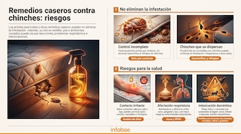 Infografía de Infobae con ilustraciones de chinches, un rociador, un difusor de aroma, una persona con irritación y advertencias de salud.