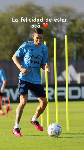 La alegría de Fideo Di