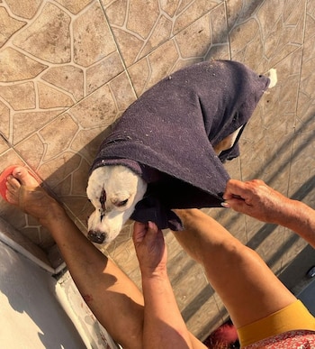 La familia denunció la muerte