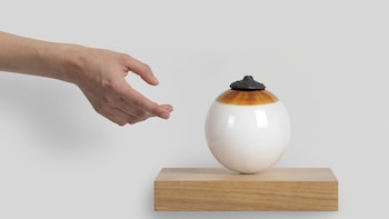 Prune Nourry, "Œil Nourricier"