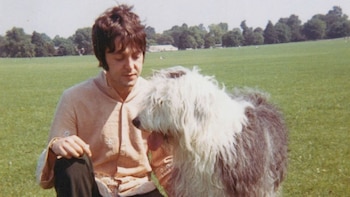 Paul McCartney siempre había querido