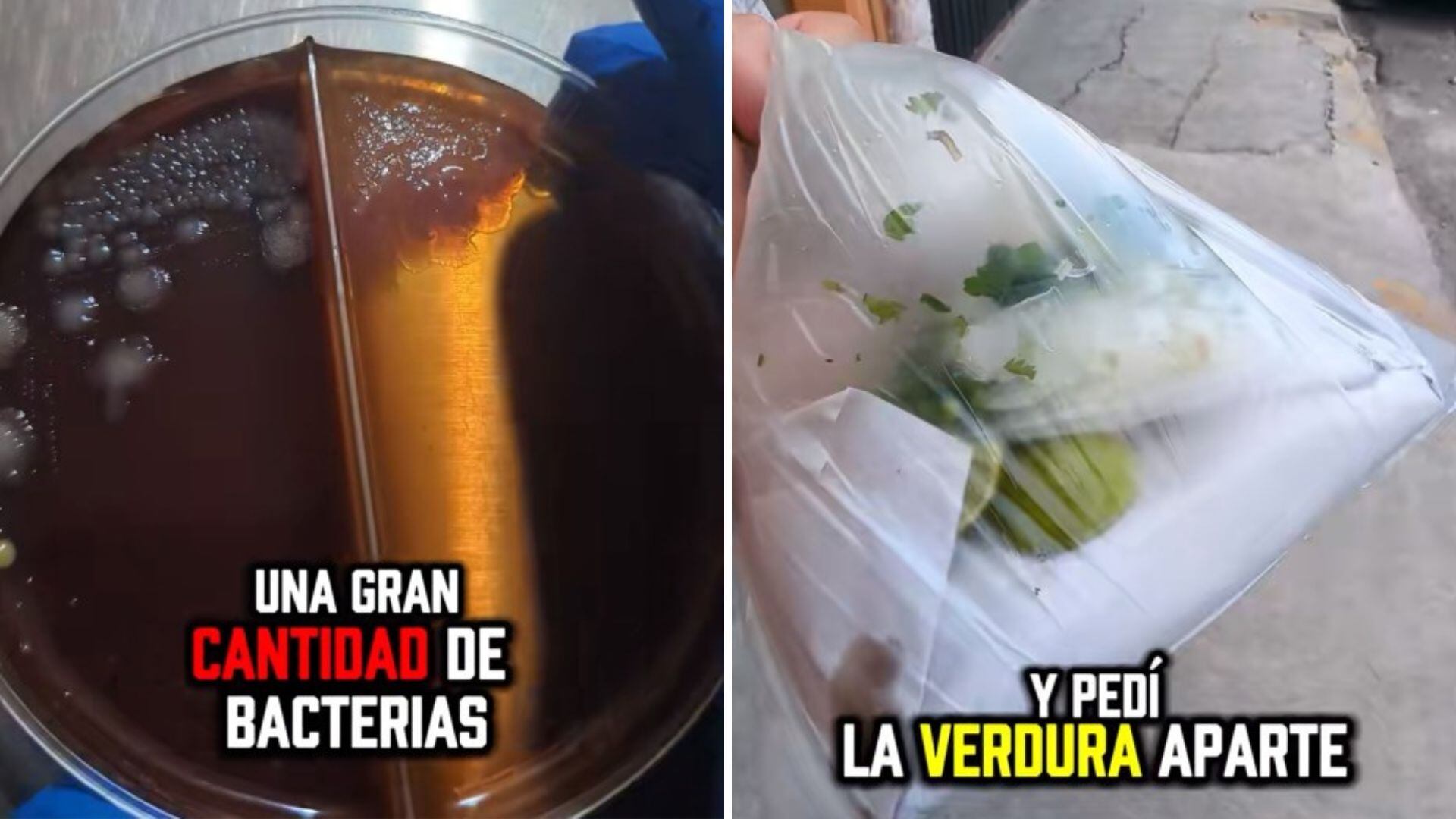 Tras 48 horas de incubación, los resultados fueron impactantes