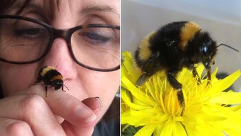 La conmovedora historia de Fiona