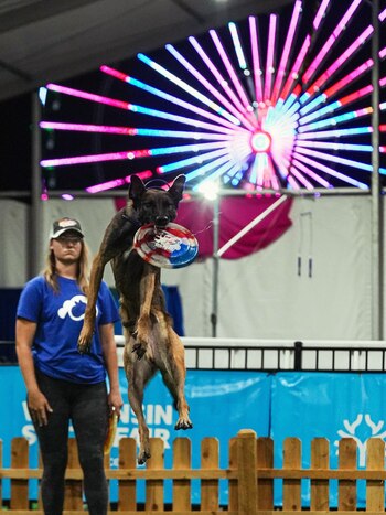 Rachel Sample, entrenada por Mark