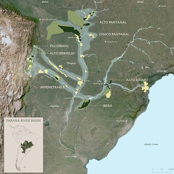 El mapa de los ríos del yaguareté