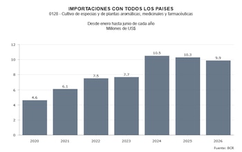 Los datos del Banco Central de Reserva dibujan una curva que viene desde 2020 y cambia el ritmo en el primer semestre. Qué rubros empujan la compra externa y qué señales deja la tendencia (Imagen BCR)