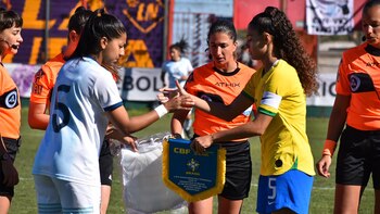 La AFA postuló a la