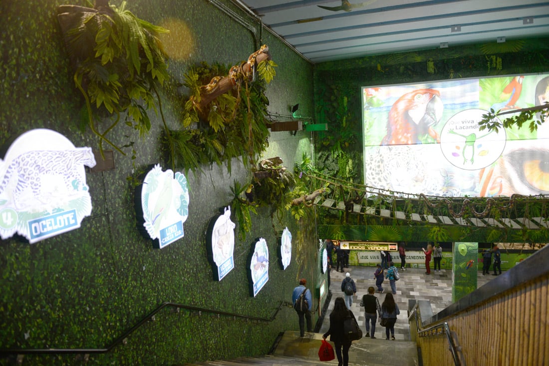 Una menor alrededor de 17 años se cayó dentro de las instalaciones de la Línea 3 del Metro CDMX (Archivo)