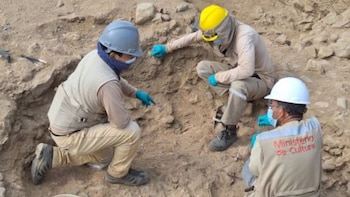 Descubren restos óseos de 11