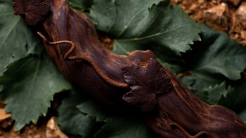 El toque especiado lo aporta