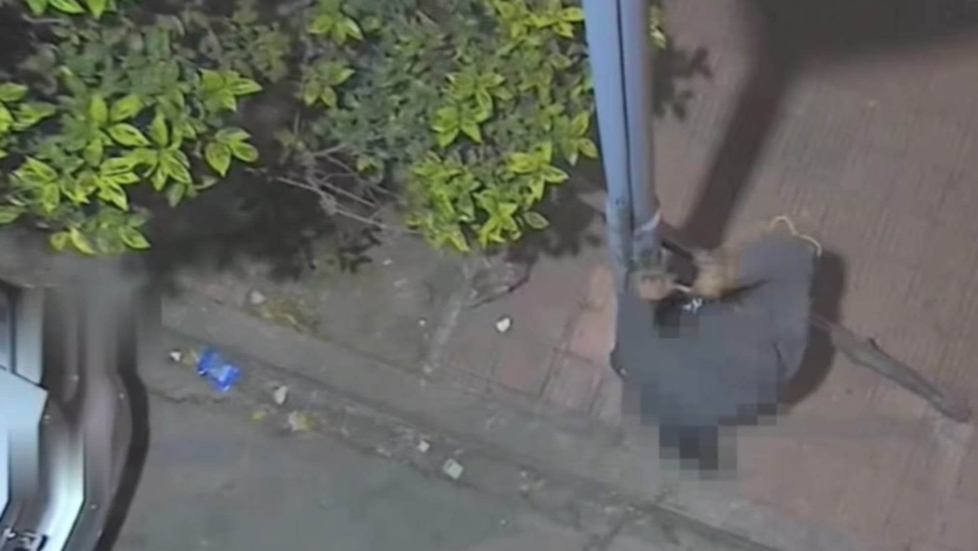 Un hombre fue detenido en Córdoba mientras intentaba robar cables, siendo captado por una cámara de seguridad municipal. (El Doce.tv)