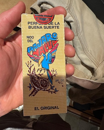 Foto:
IG @shawnmendes