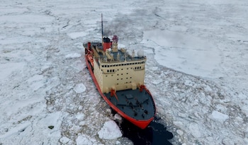 La etapa inicial se desarrolló